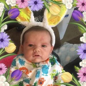 Meet your Posher, Ann